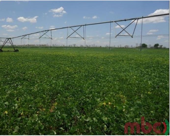 Pyxus Malawi PYXUS AGRICULTURE SUPPORTS MEGA FARMS INITIATIVE – Malawi Broadcasting ...