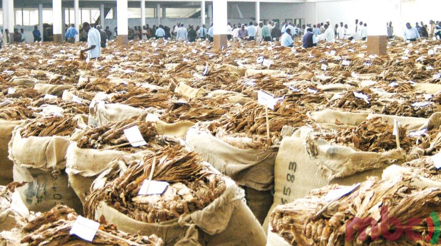 tobacco association of malawi Tikupha makwacha – TAMA – Malawi Broadcasting Corporation tobacco association of malawi Tikupha makwacha – TAMA – Malawi Broadcasting Corporation