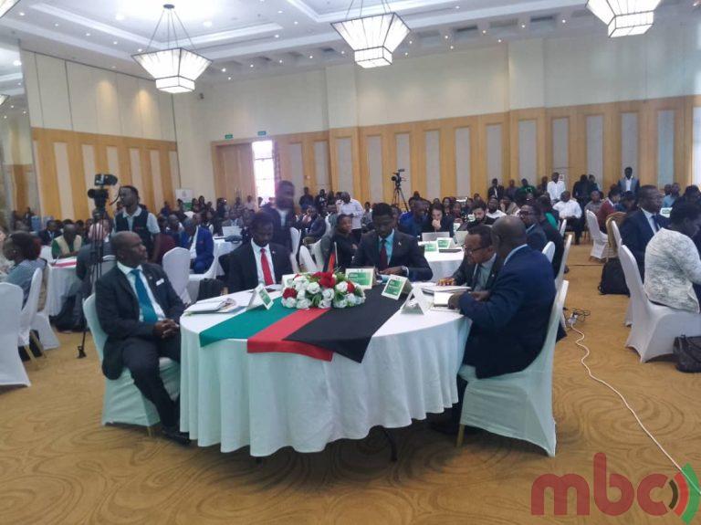 Malawi Launches National Carbon Market Framework Malawi Broadcasting